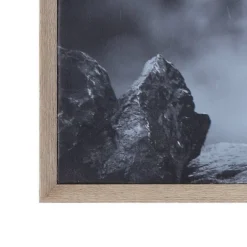 38.7" X 28.7" Donkey On Canvas Framed Wall Art Black/White -Storied Home -Interio Store GUEST 0771d31f 0ee7 4002 bf45 b09f39fd945f