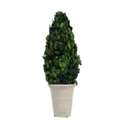 Boxwood Cone Topiary - Storied Home 13 Boxwood Cone Topiary - Storied Home -Interio Store GUEST 392538f7 1576 4ec8 9d92 d49ac77c7529