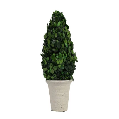 Boxwood Cone Topiary - Storied Home 8 Boxwood Cone Topiary - Storied Home - Image 6