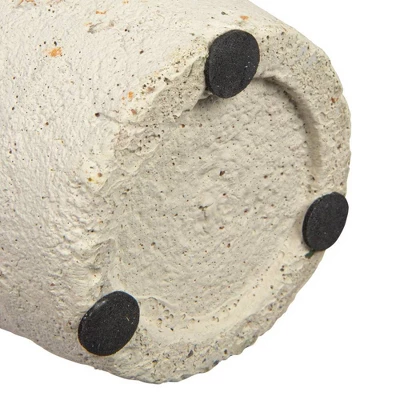 Boxwood Cone Topiary - Storied Home 6 Boxwood Cone Topiary - Storied Home - Image 4