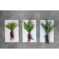 15" X 21" Set Of 3 Artificial Faux Ferns Plant With Exposed Roots - Storied Home