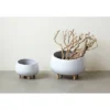 8" X 12.5" Planter With Wood Feet White - Storied Home -Interio Store GUEST 53ac675b dff4 446e b057 c18d0cfd52a2