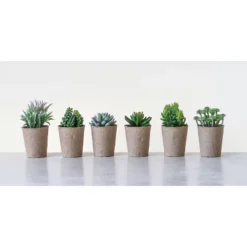 Set Of 6 6" X 4" Artificial Faux Succulent Plants In Paper Pots - Storied Home