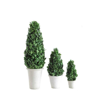 Boxwood Cone Topiary - Storied Home 5 Boxwood Cone Topiary - Storied Home - Image 3