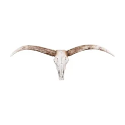 Storied Home Resin Deer Skull With Horns : Modern Wall Sculpture, Indoor White Decorative Object