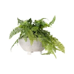 Storied Home Small Footed Terracotta Planter With Fluted Texture Distressed Cream: Indoor 4.5" Hand-Painted Vase 8 Storied Home Small Footed Terracotta Planter With Fluted Texture Distressed Cream: Indoor 4.5" Hand-Painted Vase -Interio Store GUEST c42ba278 ab9a 4c9f 88ce 35c37f5fccc4