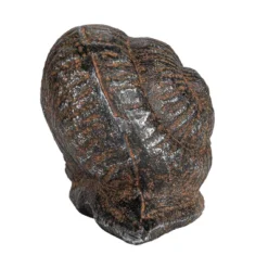 Storied Home Cast Metal Snail Accent Décor, Rust 10 Storied Home Cast Metal Snail Accent Décor, Rust -Interio Store GUEST caf28ecc 8836 4e07 840b 38ef9828497f