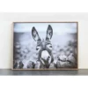38.7" X 28.7" Donkey On Canvas Framed Wall Art Black/White -Storied Home 2 38.7" X 28.7" Donkey On Canvas Framed Wall Art Black/White -Storied Home -Interio Store GUEST d3f01406 c331 4037 b80e 9385723d6ef1