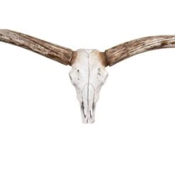 Storied Home Resin Deer Skull With Horns : Modern Wall Sculpture, Indoor White Decorative Object 7 Storied Home Resin Deer Skull With Horns : Modern Wall Sculpture, Indoor White Decorative Object -Interio Store GUEST e48ee55c 9a68 492b 8aab f9ddc0547d7a