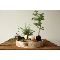 Paulownia Wood Hand-Carved Tray - Storied Home