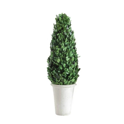 Boxwood Cone Topiary - Storied Home 3 Boxwood Cone Topiary - Storied Home
