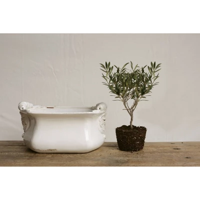 Decorative Terra Cotta Cache Pot White - Storied Home 4 Decorative Terra Cotta Cache Pot White - Storied Home - Image 2